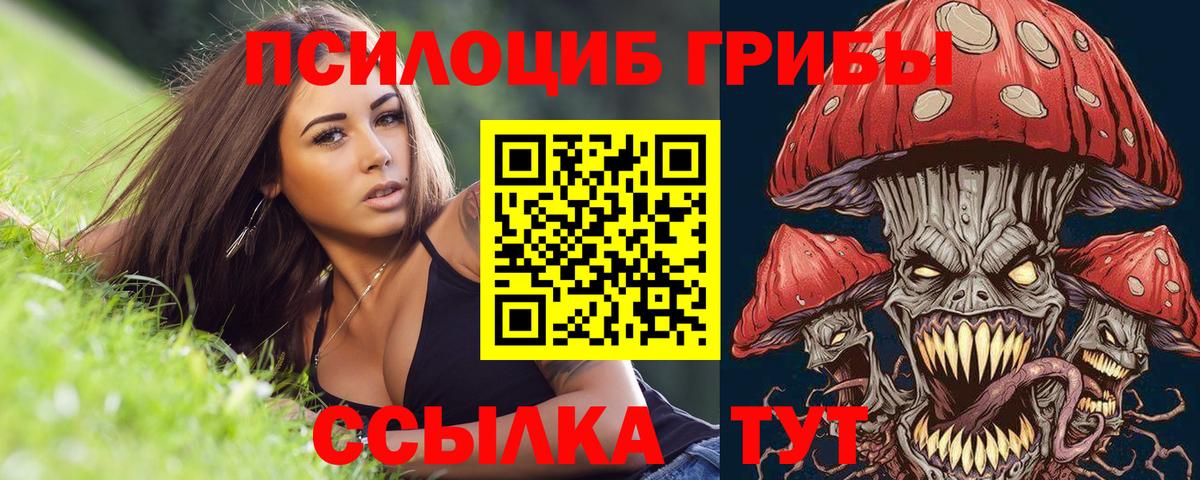 Галлюциногенные грибы прущие грибы Подольск