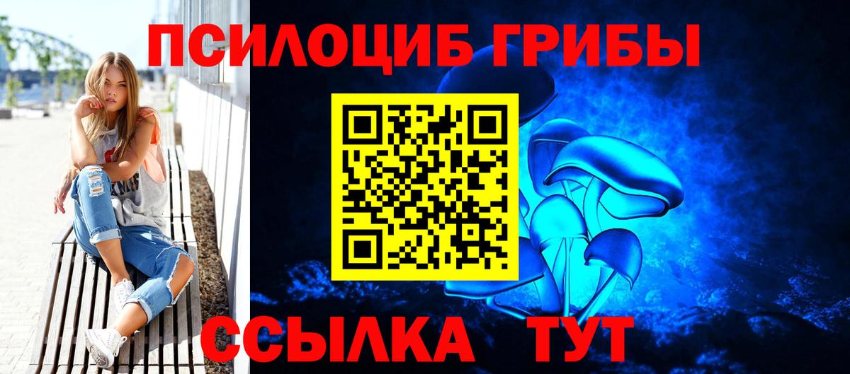 Псилоцибиновые грибы прущие грибы  Вход с VPN  Подольск 