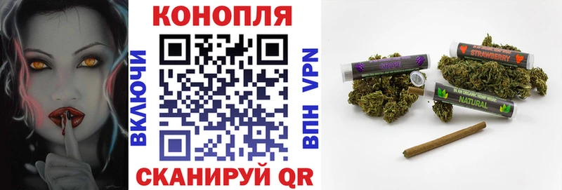 Каннабис White Widow  Подольск 